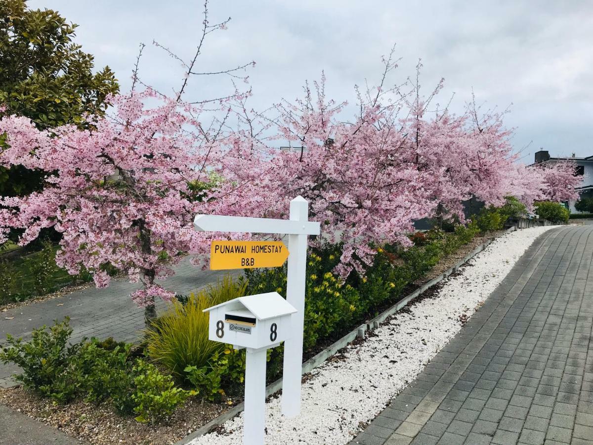 Punawai Homestay Taupo Eksteriør billede